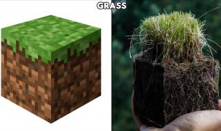 我的世界现实版僵尸