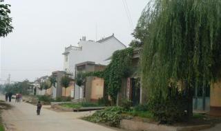 三峡小浪底在什么地方 小浪底在哪