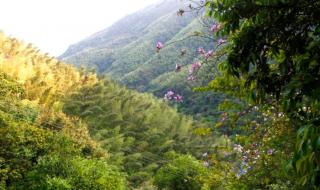 福州三叠井森林公园详细线路 三叠井森林公园