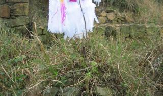 扫墓用的纸花怎么做急 扫墓的小白花怎么折