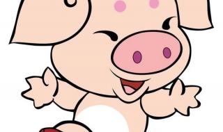 匕指什么动物 匕鬯不惊是什么生肖