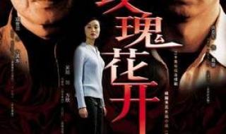 九死一生电视剧女主角 寇世勋主演的电视剧