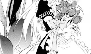 逆留之国的爱丽丝第二季讲的什么 心之国的爱丽丝结局